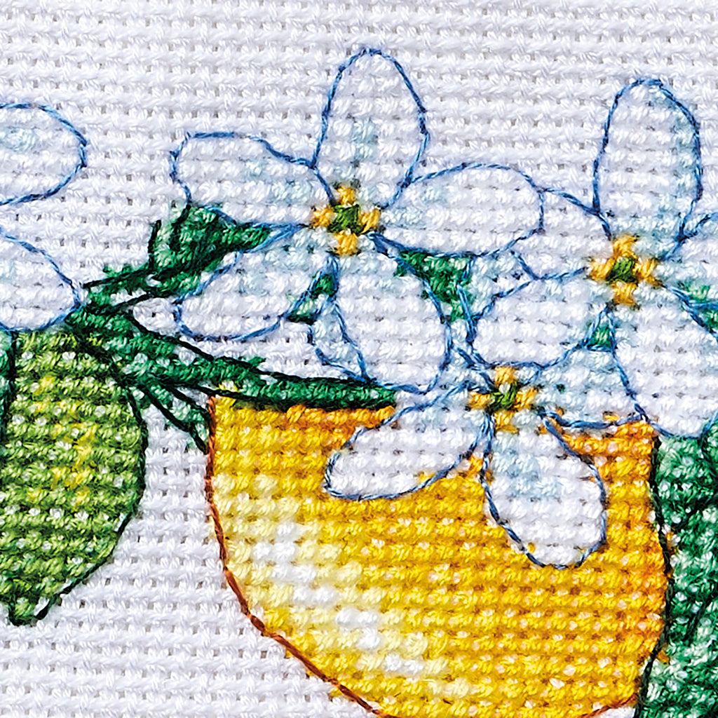 Citrus Fruit Botanical Cross Stitch Patterns PDF