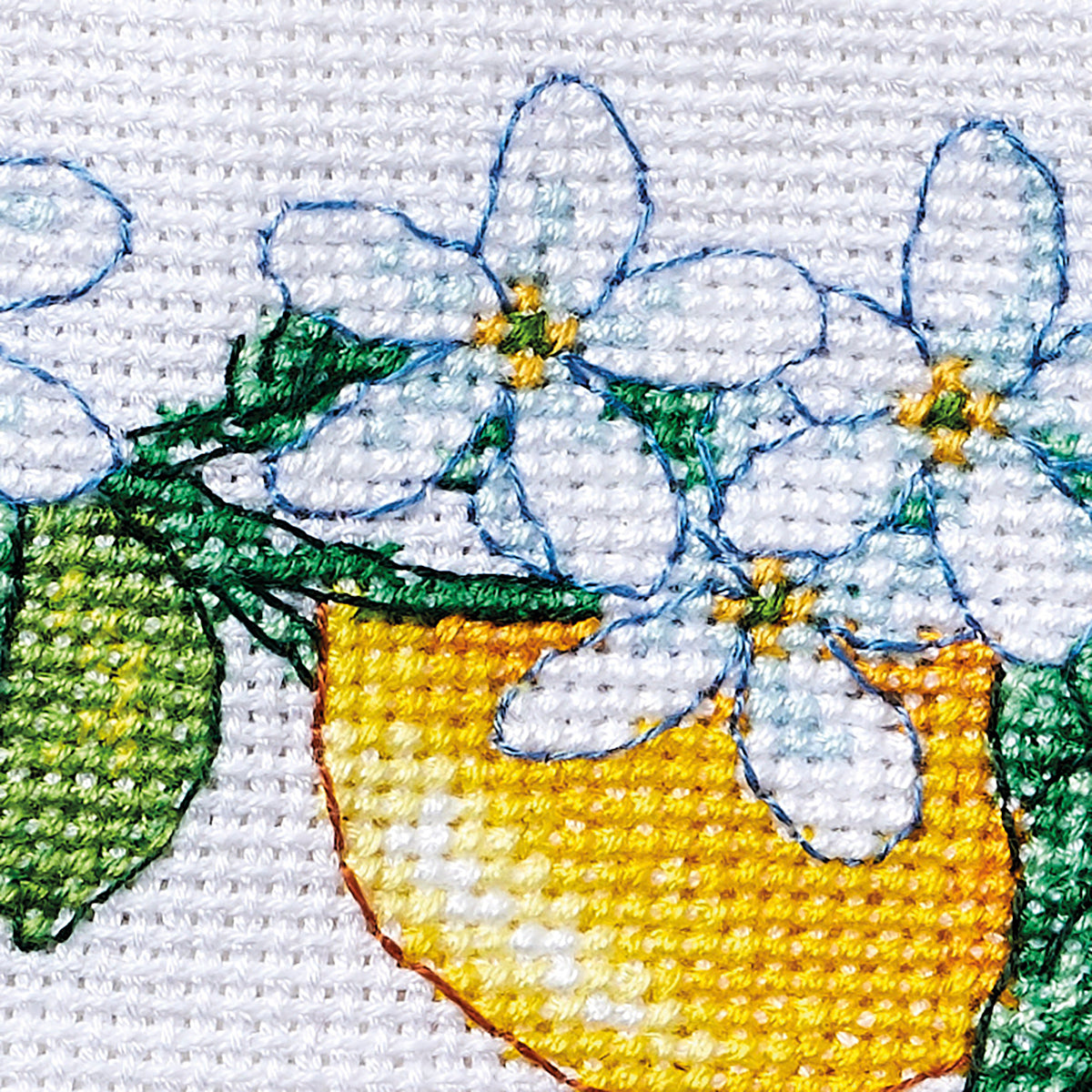 Citrus Fruit Botanical Cross Stitch Patterns PDF