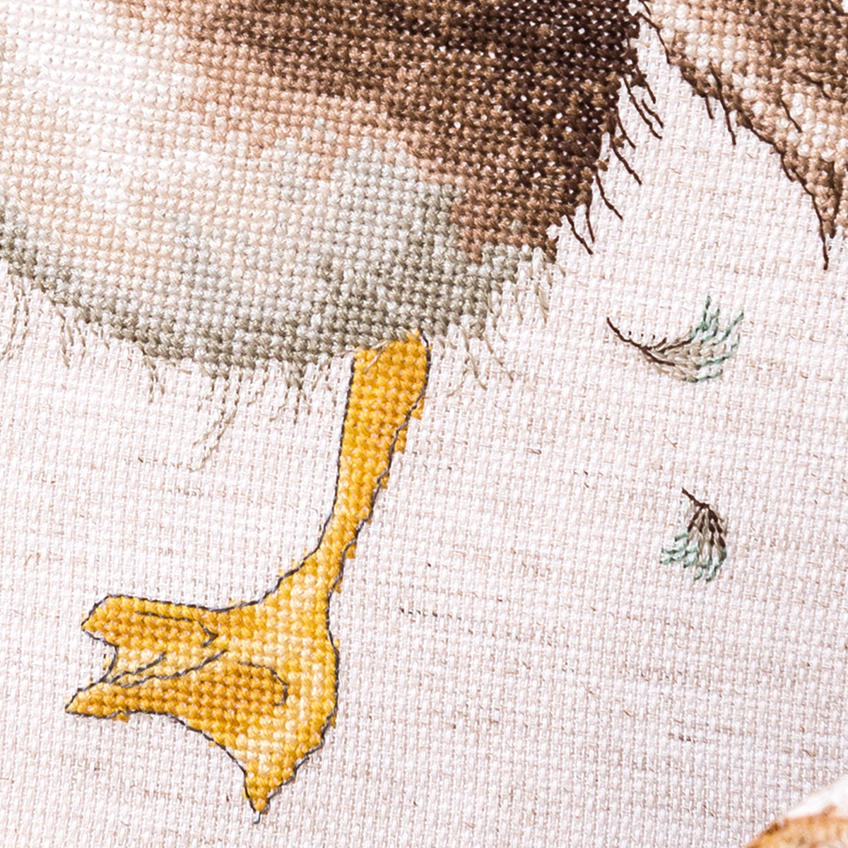 The World of Cross Stitching Magazine Issue 244 PDF