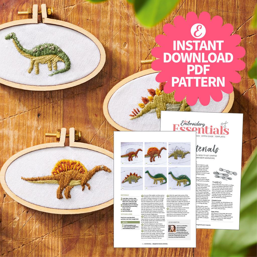 Embroidery hoops with dinosaur designs on a wooden surface, accompanied by an embroidery pattern sheet.