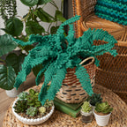 Fern Plant Crochet Pattern PDF
