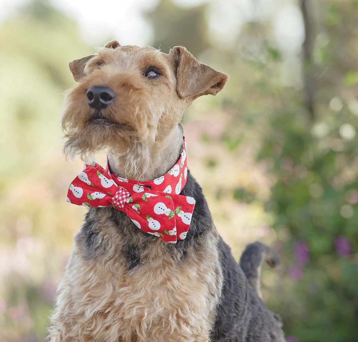 Festive Dog Collar Sewing Pattern PDF